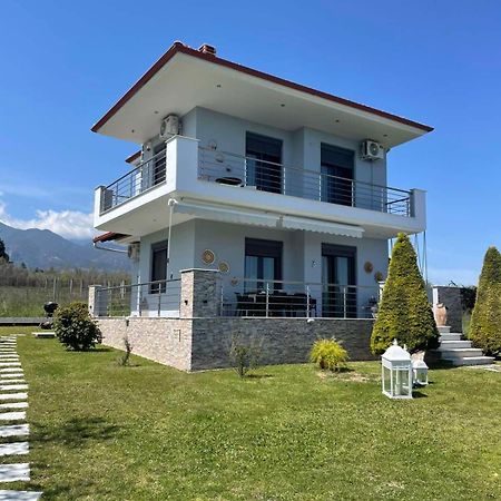 Plaka Luxury Villa Litóchoron Luaran gambar