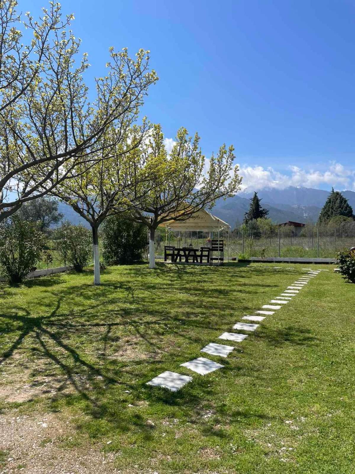 Plaka Luxury Villa Litóchoron Luaran gambar
